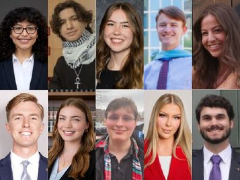 A collage of headshots of DRTx's summer interns.